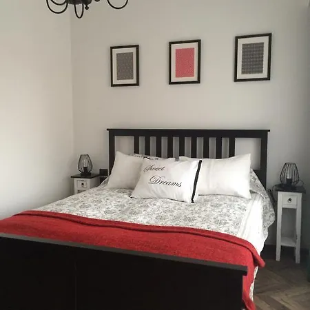 Luxury Apartment