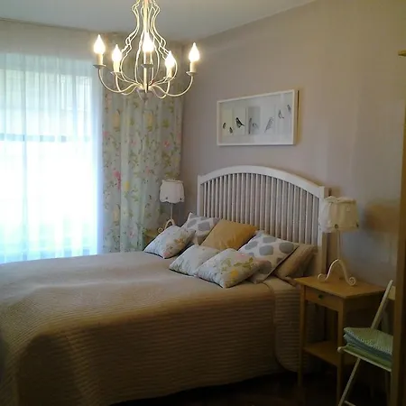 Apartment Luxury Druskininkai